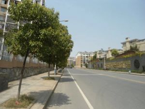 长房东方人家4室2厅东南南北