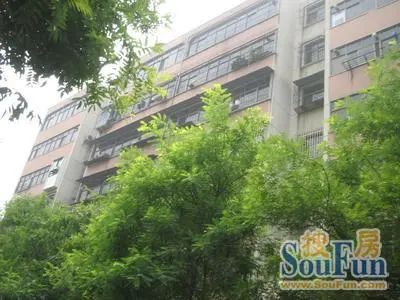 交通路169号3室2厅1卫南北朝向2200.00元/月出租