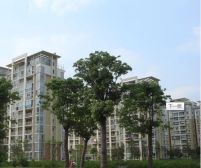 苏宁天润城 2室1厅 南 北