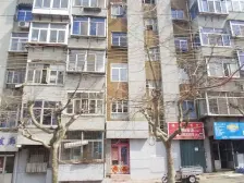 白石新城 一居室 电梯房 楼下市场 公交站看房方便