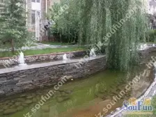 阳光河谷小区 1室1厅 南