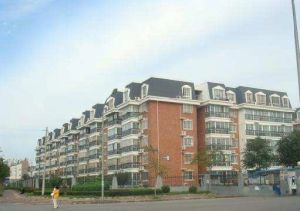 双桥·双桥中路10号南院·2室·1厅