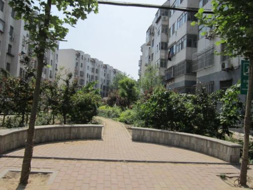翠竹园社区3室1厅1卫南北朝向1200.00元/月出租