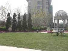 金地澜悦 精装修一居室 中间楼层采光无遮挡