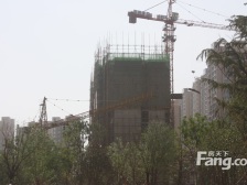 海马公园D区 1室1厅 南