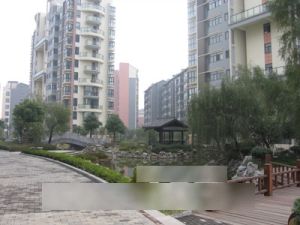 风景苑3室2厅南