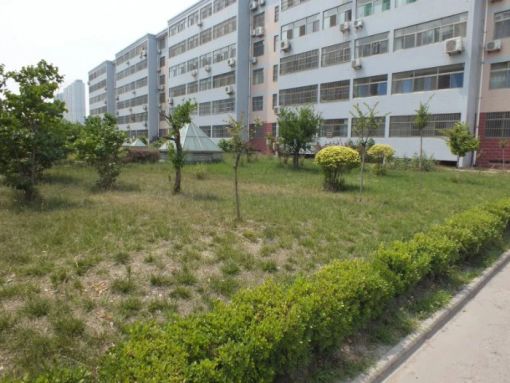 金华苑2室1厅1卫南北朝向1300.00元/月出租
