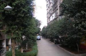 十一中学单位宿舍2室1厅南