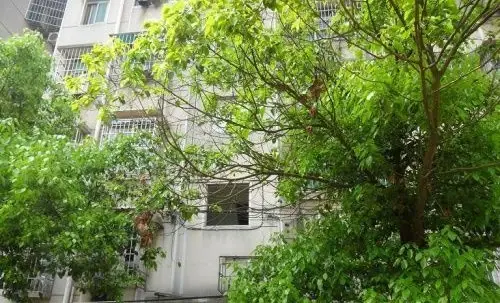铝厂宿舍