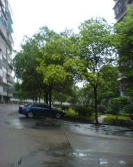 窑岭6/7号线地铁口,单位院子,中间楼层,育婴