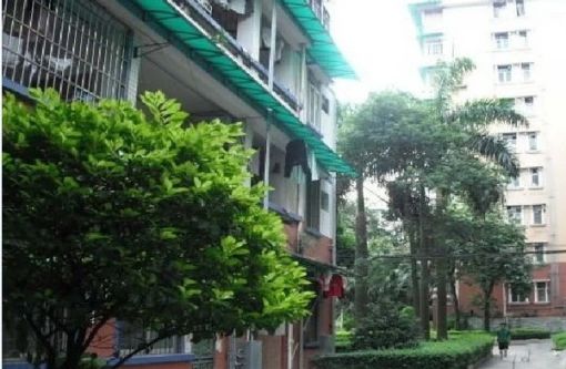 南京路小区(市南)3室1卫东南朝向4200.00元/月出租