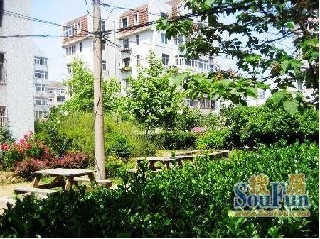 南京路小区(市南)3室1卫南北朝向2300.00元/月出租