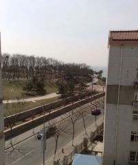 弘信花园3室2厅南