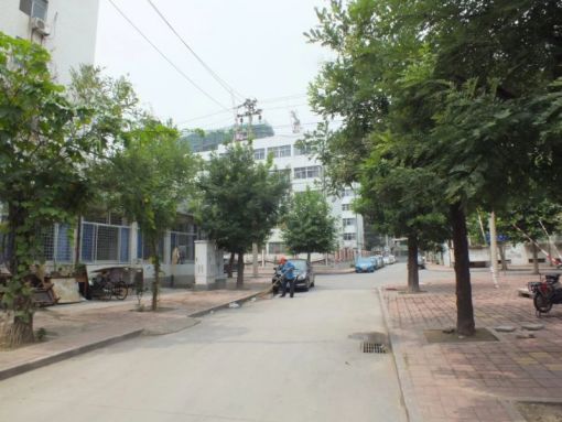 十笏园小区3室1厅1卫南北朝向500.00元/月出租