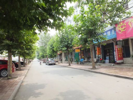 Ê®óËÔ°Ð¡Çø3ÊÒ1Ìü1ÎÀÄϱ±³¯Ïò600.00Ôª/Ô³ö×â