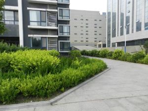 财富鼎园3室2厅南北