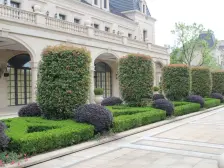 户型方正,小区正中位置,楼层适中南北通透!