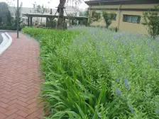 小高层东打头,精装修,两梯两户,南北通透楼间距宽