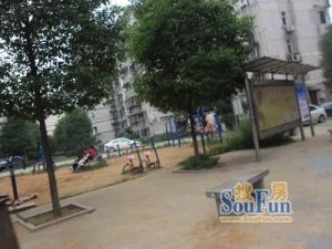 广厦新村2室1厅南