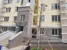 金山水城B区 金山公园旁边电梯小高层生活便捷