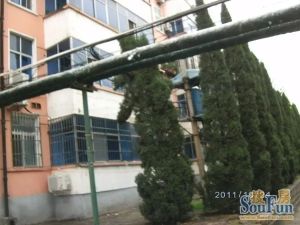 钢球厂家属院2室1厅南北