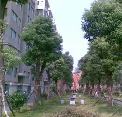 兴泰公寓4室2厅南