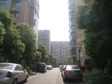 青年广场商圈,精装,采光无遮挡,民水民电有气。