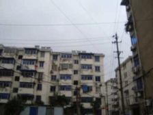 桃花坞12区 一楼带院子 院子已开门 三室