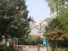 万达商圈精装电梯8楼洋房近大市口小区环境好拎包住