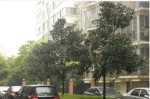 粮库2室1厅南北