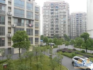 急售好房 176平小高层 中间楼层 总价低 户型周正