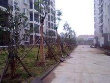 凤华名邸 三房步梯中层 户型好采光佳