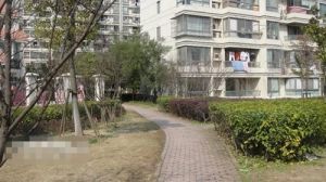 新苑小区2室1厅南北