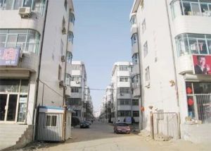 怡园小区 3室1厅 南 北