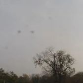 香武胡同 南北东 三室明厅 中间楼层 出行方便