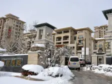 御景观城新上小高层精装顶加阁可以看整个桃源一品绿化