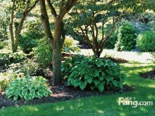 东亚华欣湾 2室1厅 北