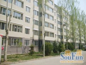 西万达商圈 国标两居出售 随时看房