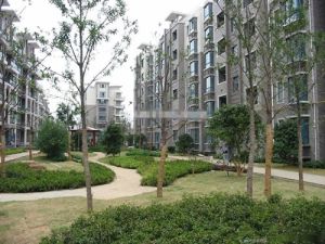 金桥成熟小区,43九年,地铁口,三居精装修,中间楼层