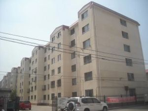 望兴园西区 2室1厅 南