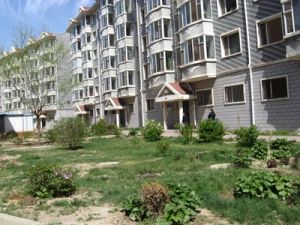 滨江花园(玉泉区) 3室2厅 南 北