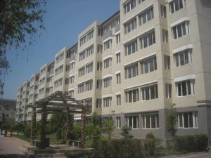 桥华园双阳卧 采光通风佳 五年外 低税费