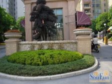盈彩美地2室2厅东西