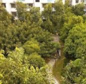铁城商圈低楼层业主诚心出售南北对流。