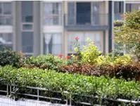 °²»ùдºÌì3ÊÒ2Ìü1ÎÀÄϱ±³¯Ïò1100.00Ôª/Ô³ö×â