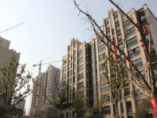 万科沁园 边户 全明户型 三室 精装