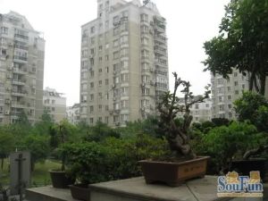 星洲花园2室2厅东南