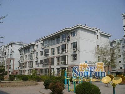 五塔寺西小区3室2厅2卫南北朝向1585.00元/月出租