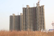 高层8、9号楼施工实景图（2013-03-20）