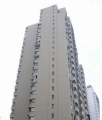 轻苑小区2室1厅南